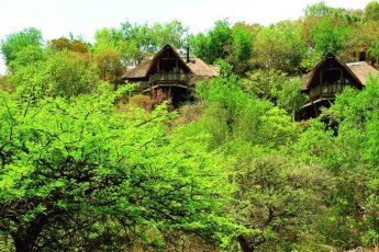 tshukudu-bush-lodge 46735