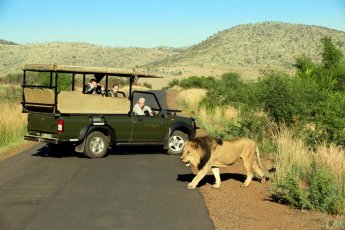 tshukudu-bush-lodge 46742