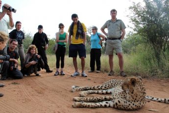 tshukudu-bush-lodge 46743