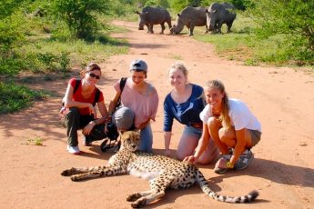 tshukudu-bush-lodge 46745