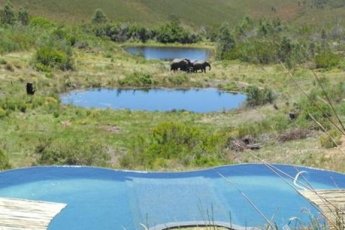 gondwana-game-reserve 87956