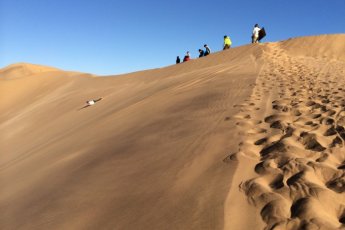 cape-town-sandboarding 48140