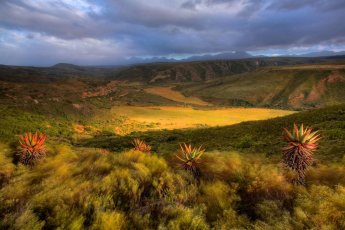 gondwana-game-reserve 87965