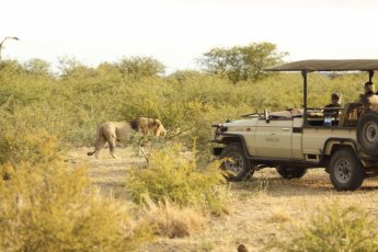 rhulani-safari-lodge 89842