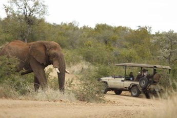 rhulani-safari-lodge 89844