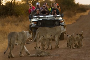 rhulani-safari-lodge 89845