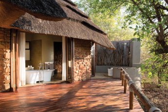 madikwe-hills-private-game-lodge 81311