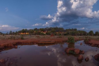 madikwe-hills-private-game-lodge 81321