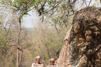 madikwe-hills-private-game-lodge 81322