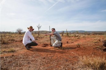 madikwe-hills-private-game-lodge 81328