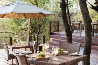 madikwe-hills-private-game-lodge 81331