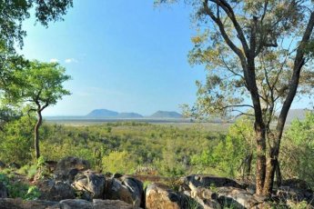 buffalo-ridge-safari-lodge 93974