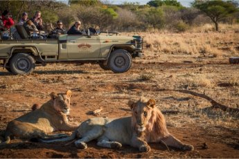 rhulani-safari-lodge 89850