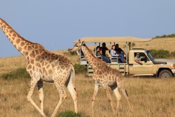 botlierskop-game-reserve 76074