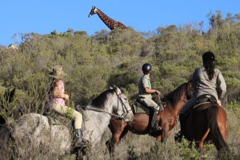 botlierskop-game-reserve 76077