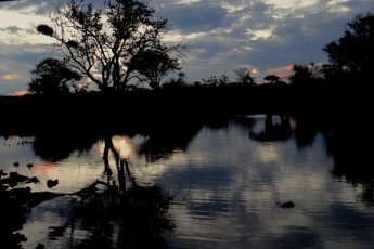 rhulani-safari-lodge 89853