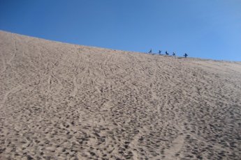 cape-town-sandboarding 48135