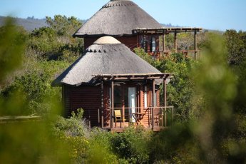 garden-route-game-lodge 74676