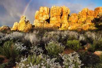 kagga-kamma-private-game-reserve 88067