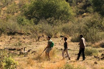 bakubung-bush-lodge 94492