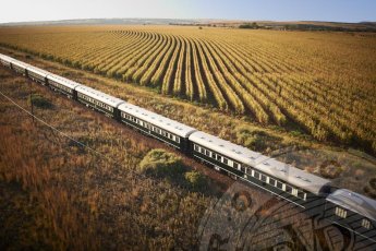 luxury-train-tours 88403