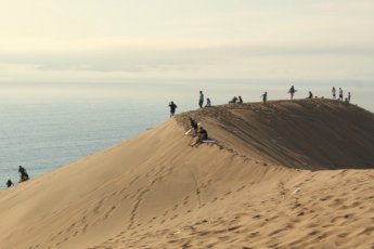 cape-town-sandboarding 48141