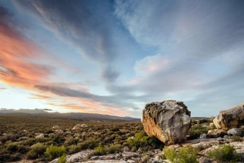 kagga-kamma-private-game-reserve 88072