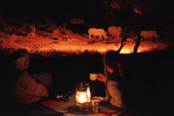 etali-safari-lodge 80212