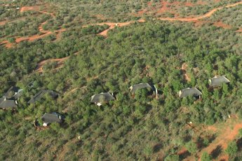 etali-safari-lodge 80219