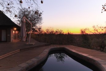 etali-safari-lodge 80224