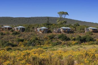 garden-route-game-lodge 74684