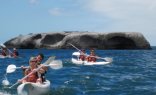 Sea Kayaking (Dow)