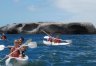 Sea Kayaking (Dow)