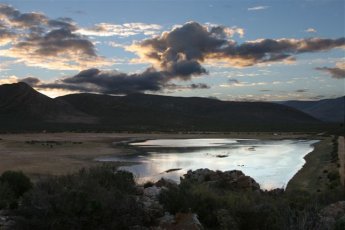 Aquila Safari