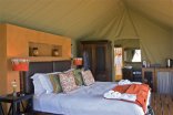 Luxury Water Hole - Buffelsdrift Game Lodge