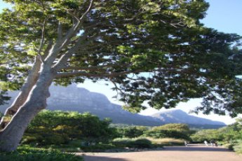 full-day-cape-point-peninsula-tour-ili 67033