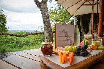 madikwe-safari-lodge 93912