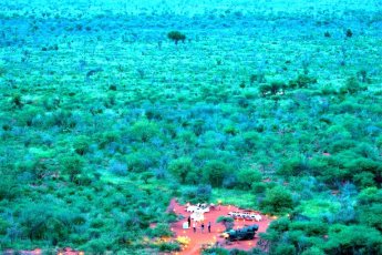 madikwe-safari-lodge 93914