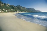 Full Day Peninsula Tour (SC1) - Full Day Cape Peninsula Tour (SC1 )