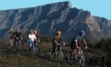 Half Day Table Mountain Biking