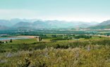 Half Day Cape Winelands Tour (SC4 )