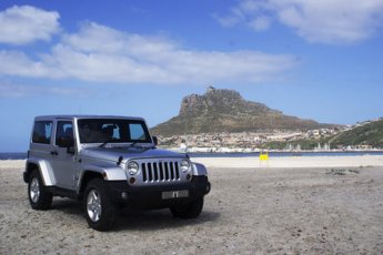 jeep-wrangler-3.6l-v6-petastar 19390