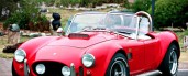 AC Cobra Shamrock