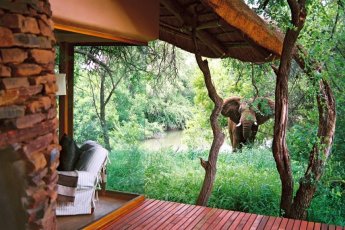 makanyane-safari-lodge 93952