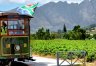 Franschhoek Wine Tram Experience (SE11)
