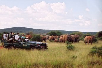 makanyane-safari-lodge 93954