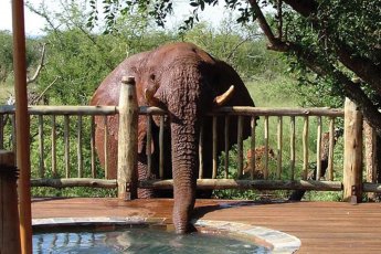 etali-safari-lodge 92979