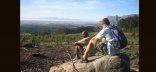 Full Day - Hiking & Trekking on the Table Mountain (Dow)
