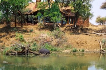 makanyane-safari-lodge 93956