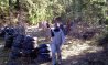 Paintball